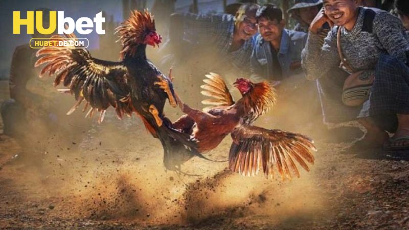 Những ưu điểm nổi bật tạo nên thương hiệu AOG